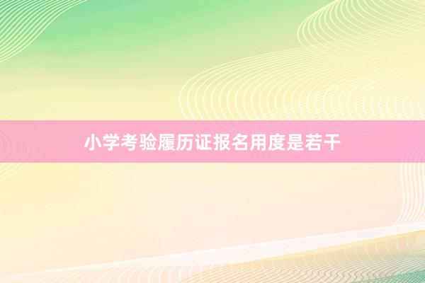 小学考验履历证报名用度是若干