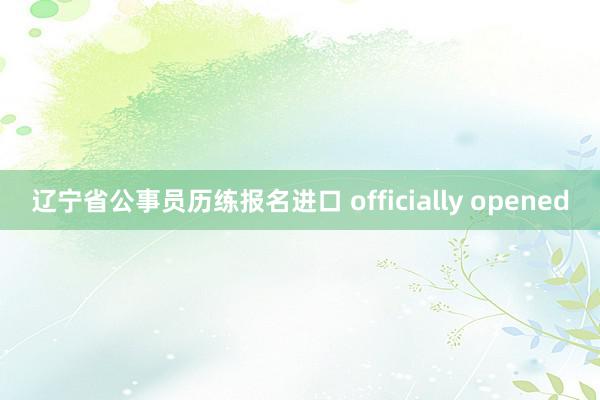 辽宁省公事员历练报名进口 officially opened