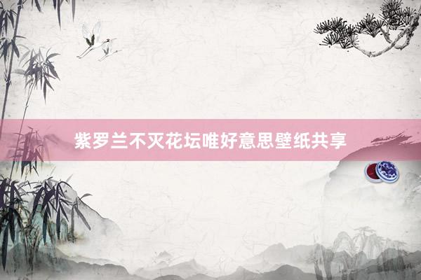紫罗兰不灭花坛唯好意思壁纸共享